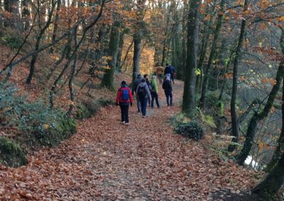 Groupe marche en forêt - Marie Duval sophrologue