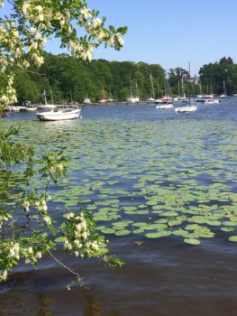 Bord de l'Erdre-Marie Duval sophrologie