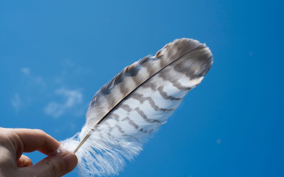 Une plume sur un fond de ciel bleu -Marie Duval sophrologue