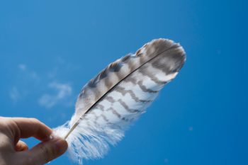 Une plume sur un fond de ciel bleu -Marie Duval sophrologue